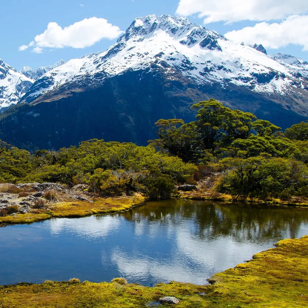 Mountain and lake by NZ plywood supplier Ply Online