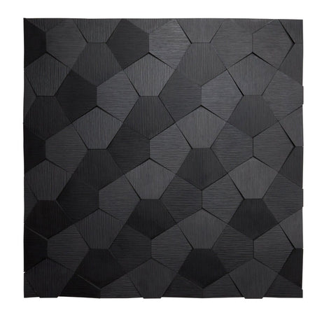 Architectural Panel Carapace Black (sample 600x600mm) - Ply Online