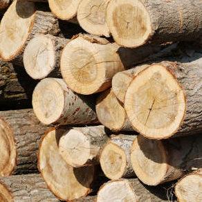 Poplar logs