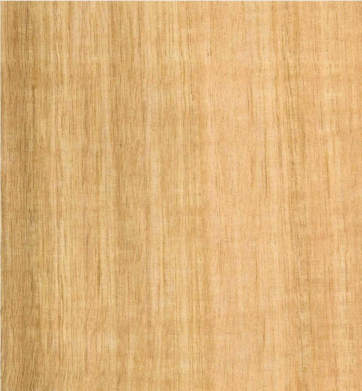 Tasmanian Oak Veneer QC on Poplar Plywood 3.5x2440x1220mm - Ply Online