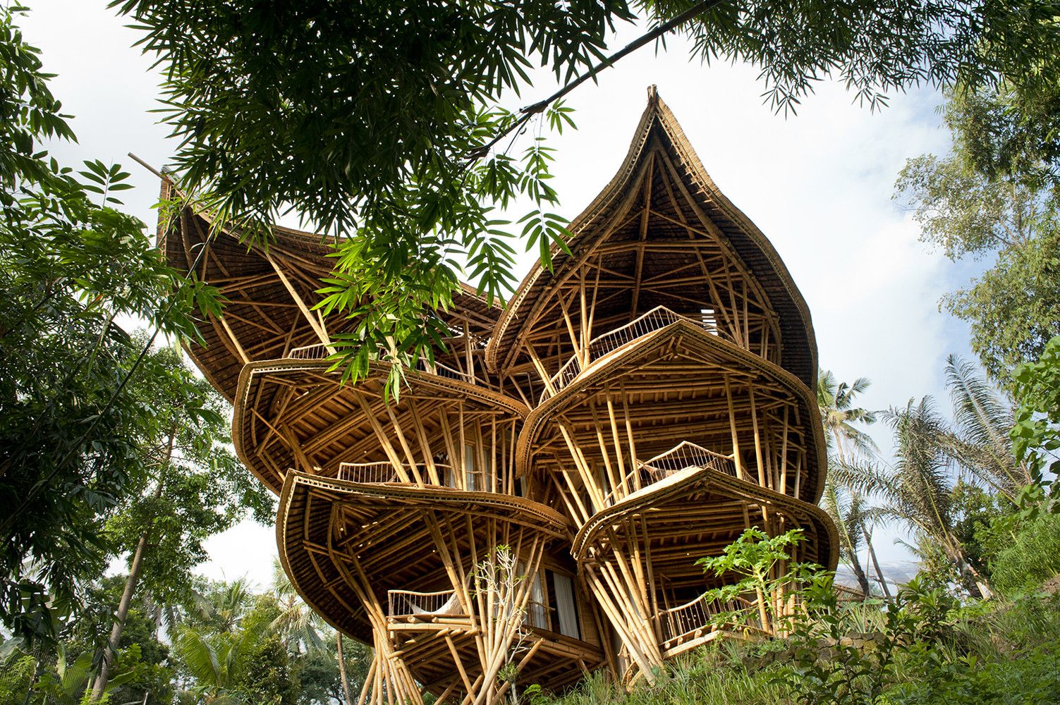 bamboo architectural building, featuring leaf-like forms and multiple storeys made from bamboo trunks.