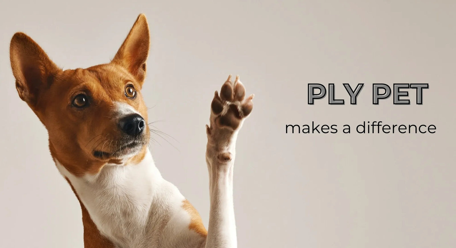 Brown and white dog raising paw, text reads PLY PET makes a difference, neutral background