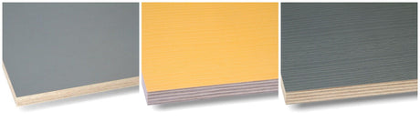 Baltic Timber and Its Types - Ply Online