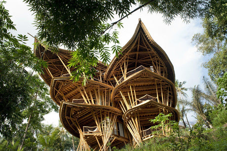 Sustainable bamboo house with unique architectural design surrounded by lush green foliage