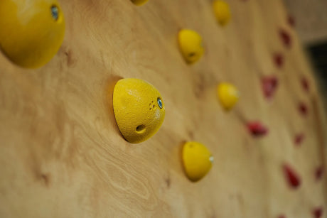 Plywood climbing wall with yellow holders
