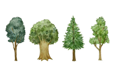 4 watercolour trees