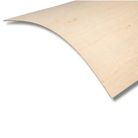 Bent piece of 1mm thick birch plywood on a white background