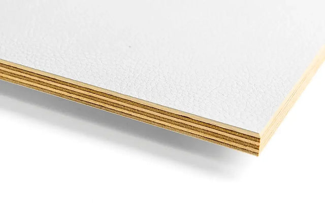 Riga_Leather_Birch Plywood_9mm sample on a white background