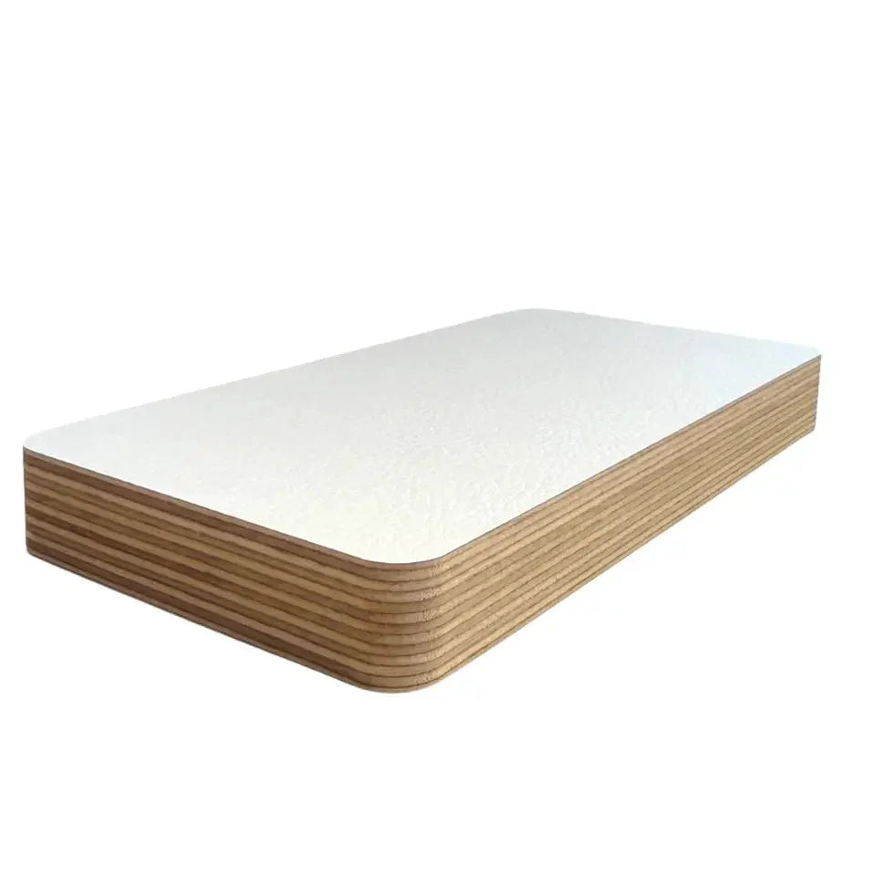 Riga_Leather_White_Birch_Plywood_18mm sample on a white background